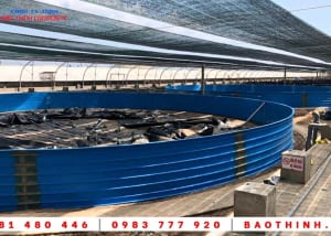 Hồ tròn Composite được lắp đặt tại Việt Úc - Bạc Liêu 18 Hồ tròn Composite được lắp đặt tại Việt Úc - Bạc Liêu