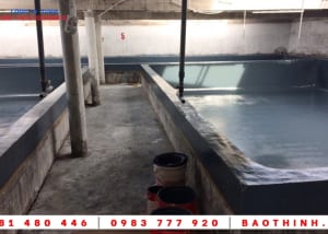 Bọc phủ composite hồ tôm giống cho Tập đoàn Việt Úc 18 Bọc phủ composite hồ tôm giống cho Tập đoàn Việt Úc