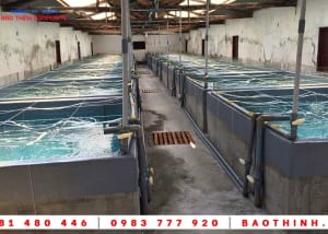 Bọc phủ composite hồ tôm giống tại Việt Úc - Bình Thuận 17 Bọc phủ composite hồ tôm giống tại Việt Úc - Bình Thuận
