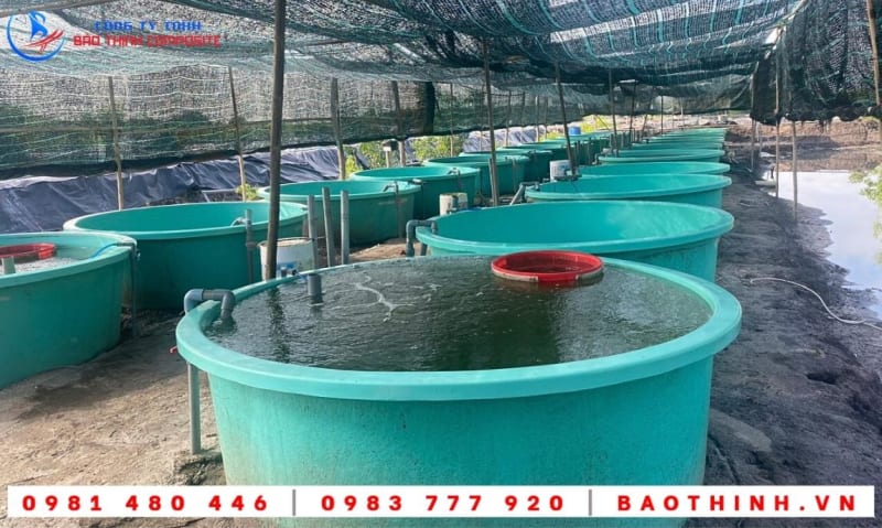 Bồn composite nuôi cá giống tại Long Sơn - BRVT