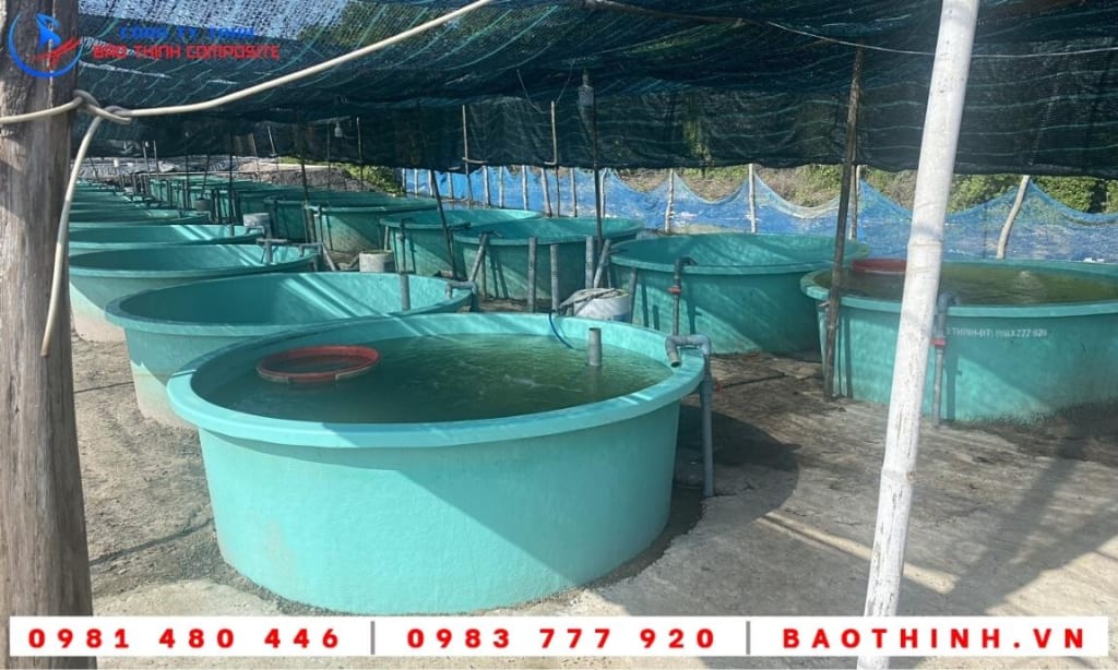 Bồn composite nuôi cá giống tại Long Sơn - BRVT