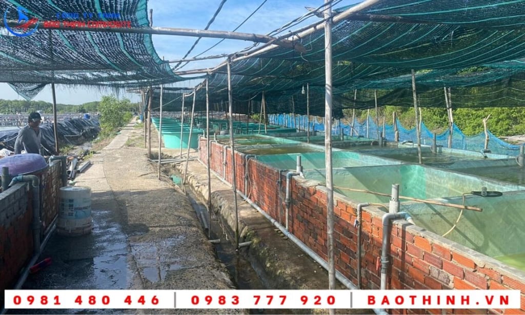 Bồn composite nuôi cá giống tại Long Sơn - BRVT