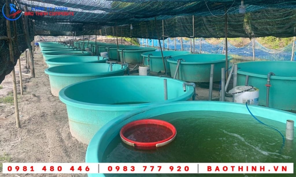 Bồn composite nuôi cá giống tại Long Sơn - BRVT