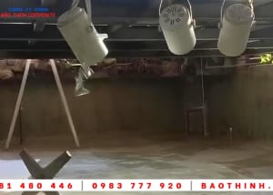 Chống thấm hồ nuôi cá koi tại Biên Hoà - Đồng Nai 24 Chống thấm hồ nuôi cá koi tại Biên Hoà - Đồng Nai
